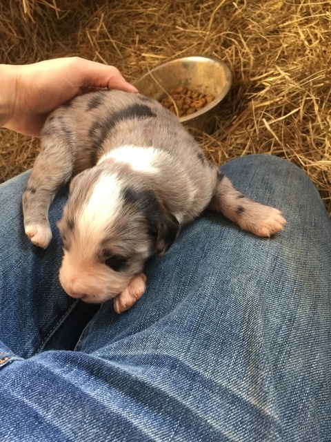 Kyla, new born