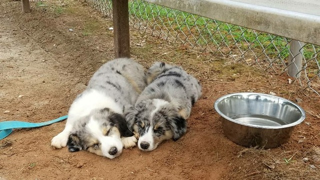 Kyla & Wynnie