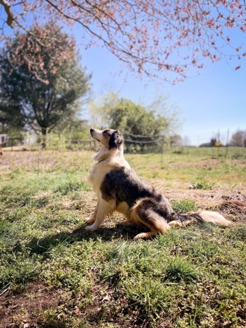 Kyla
